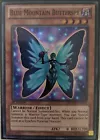 Blue Mountain Butterspy