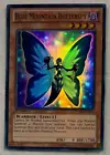 Blue Mountain Butterspy