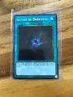 Allure of Darkness