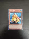 Swap Frog