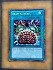 Brain Control