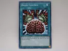 Brain Control