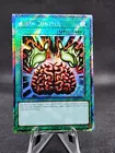 Brain Control