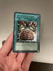 Brain Control
