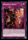 Shaddoll Beast