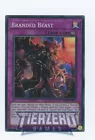 Shaddoll Beast