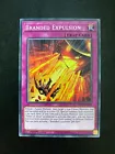 Branded Expulsion