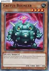 Cactus Bouncer