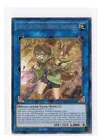 Aussa the Earth Charmer, Immovable