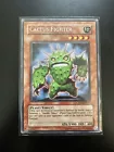 Cactus Fighter