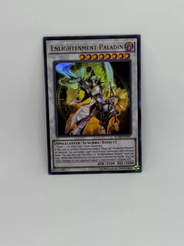 Enlightenment Paladin
