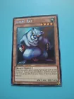 Giant Rat