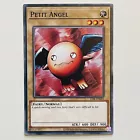Petit Angel
