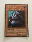 Giant Rat