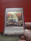 Pyramid Turtle