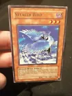 Stealth Bird