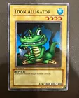 Toon Alligator