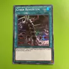 Cyber Revsystem