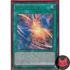 Catalyst Field