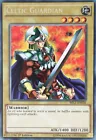 Celtic Guardian