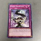 Chaos Phantasm