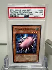 Cocoon of Evolution