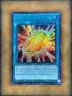 Cocoon of Ultra Evolution
