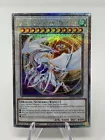 Cosmic Blazar Dragon