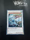 Cosmic Blazar Dragon