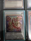 Crimson Dragon