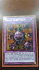 Crush Card Virus