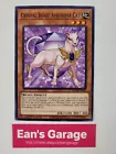 Crystal Beast Amethyst Cat