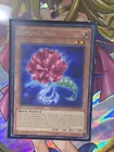 Crystal Rose