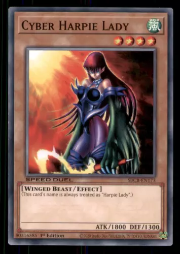 Cyber Harpie Lady