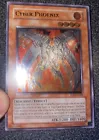 Cyber Phoenix