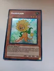 Dandylion