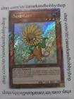Dandylion