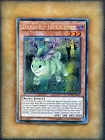 Danger!? Jackalope?