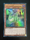 Danger!? Jackalope?