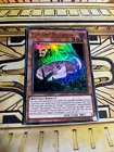 Danger!? Tsuchinoko?
