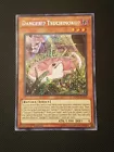 Danger!? Tsuchinoko?