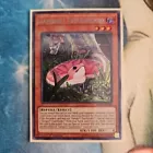 Danger!? Tsuchinoko?