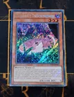 Danger!? Tsuchinoko?