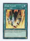 Dark Fusion