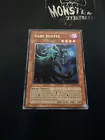 Dark Hunter