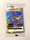 Dark Flare Knight