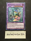 Dark Magician Girl The Dragon Knight