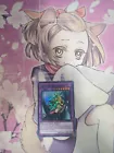 Dark Magician Girl the Dragon Knight