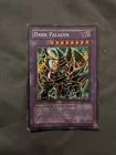 Dark Paladin