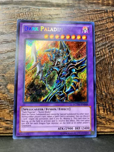 Dark Paladin